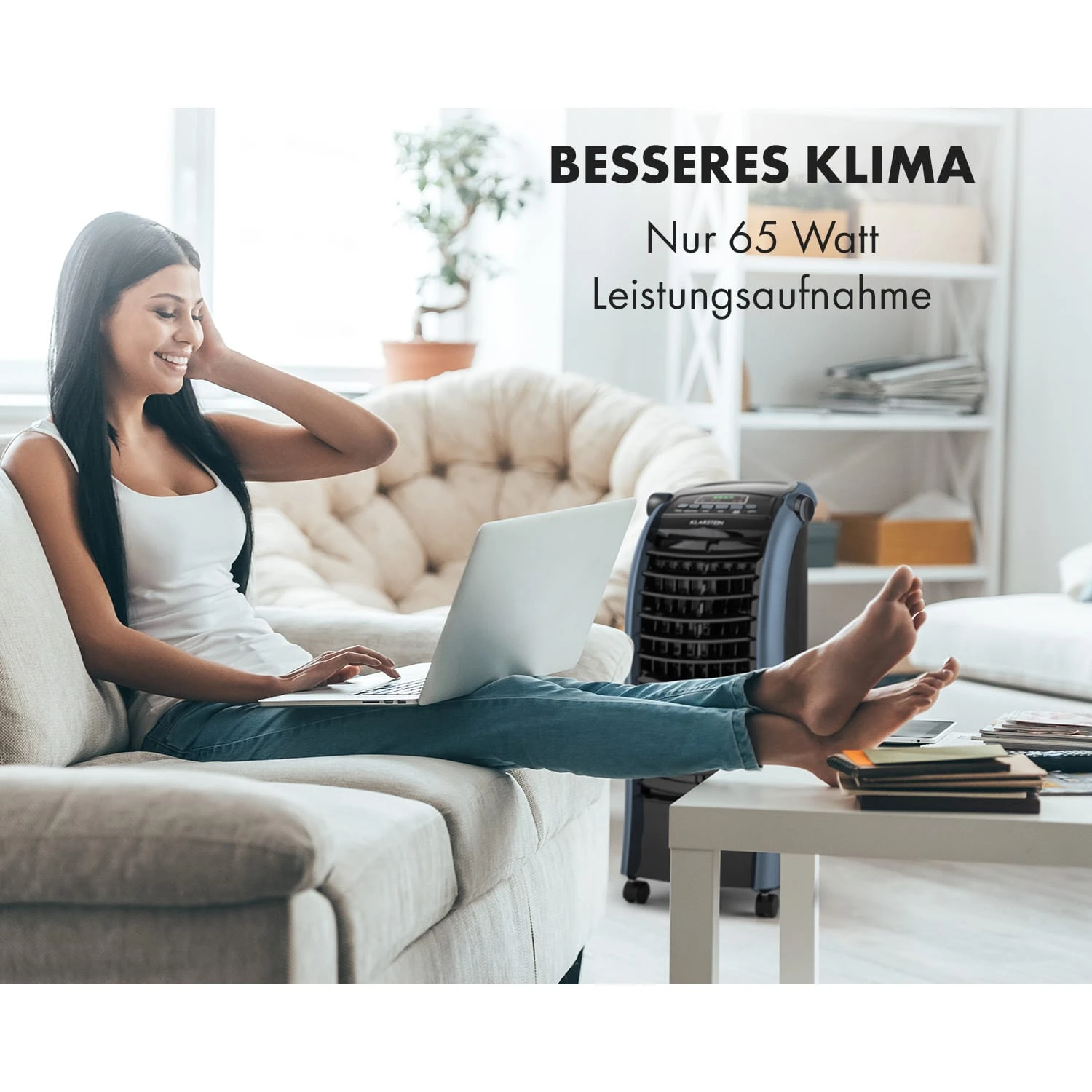 Maxfresh Ocean Ventilator Luftkühler 6L 65W Fernbedienung 2x Eispack – Bild 2