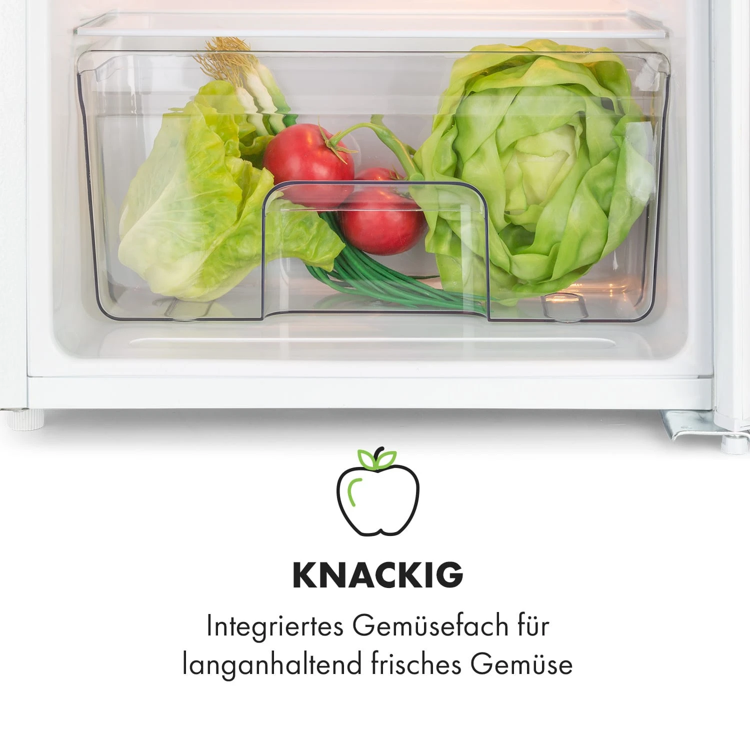 Spitzbergen Uni Kühlschrank 91 Liter 10-Liter-Gefrierfach 2 Böden – Bild 6