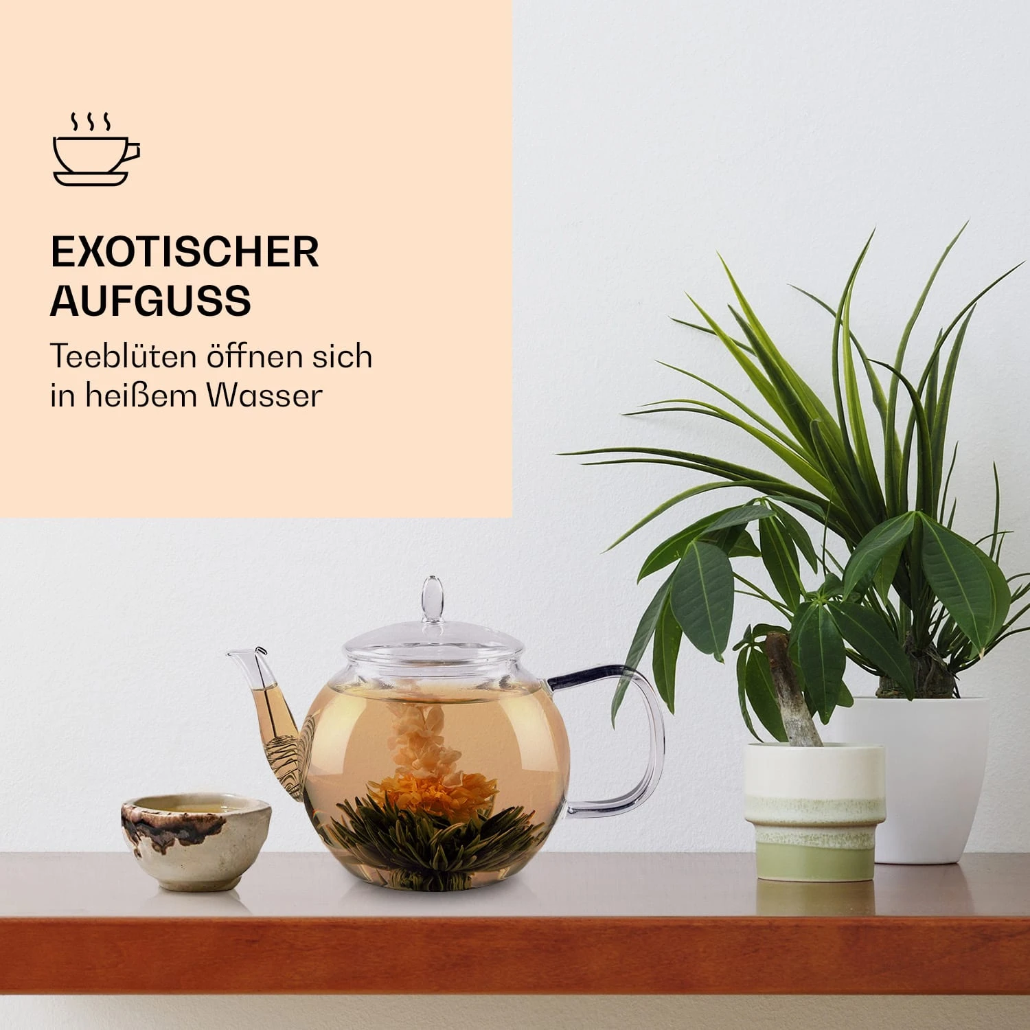 Feelino 6er Teeblume Mix Schwarz – Bild 3