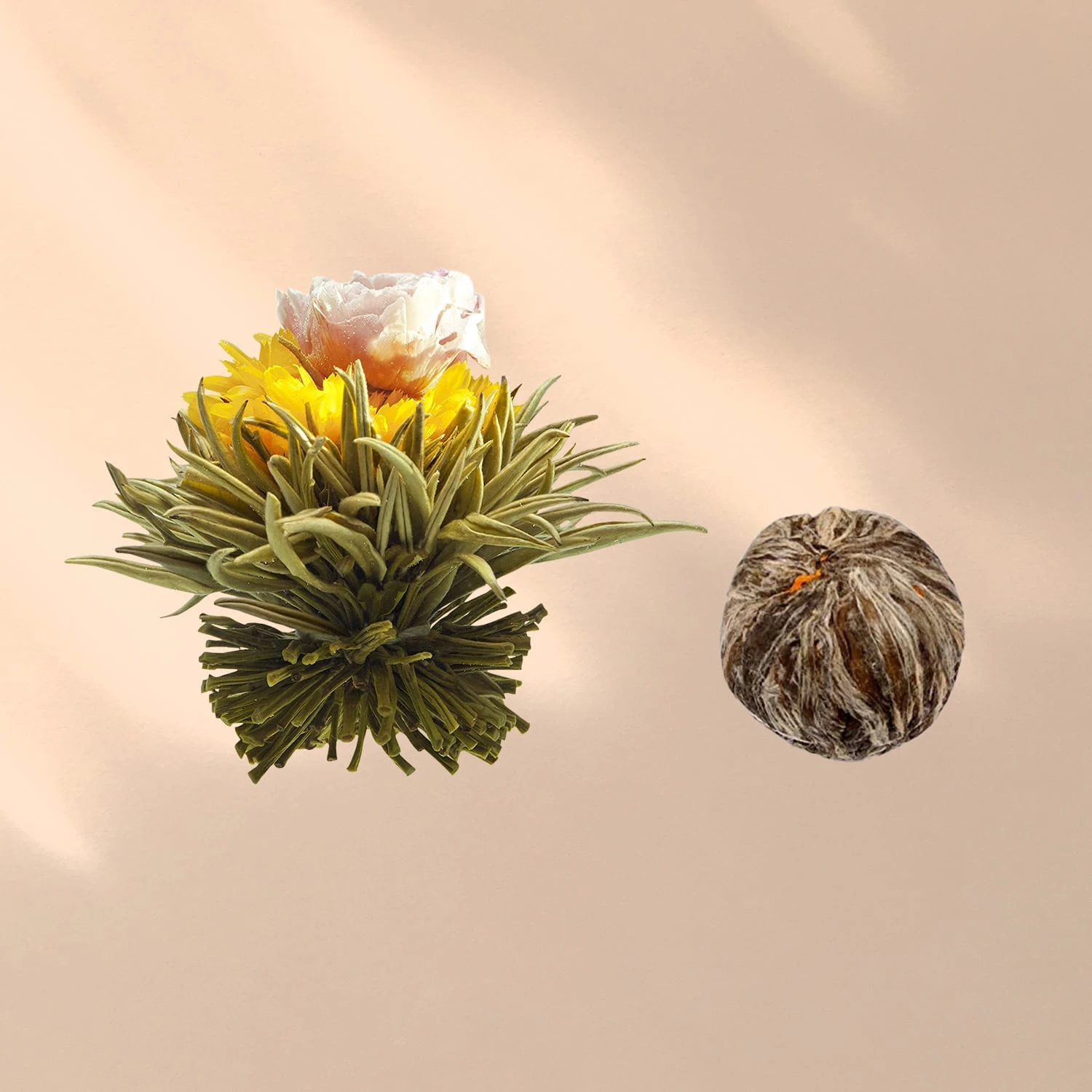 Feelino 6er Teeblume Mix Schwarz – Bild 7