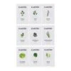 GrowIt Seeds Samen-Set 9x Samen: 3x Asia, 3x Europa, 3x Salat